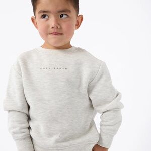 NWT COZY EARTH brand CityScape CrewNeck Heather Grey Soft Sweatshirts, Unisex